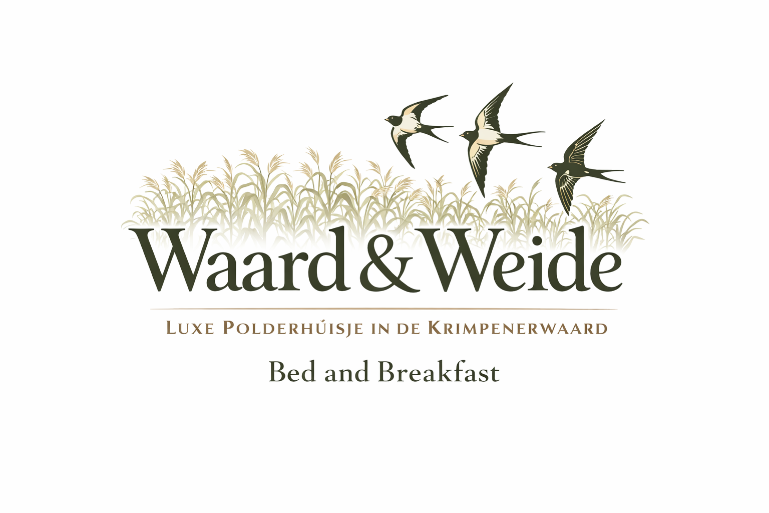 File 000000004ba471f49f4e67e33d1981a5 1