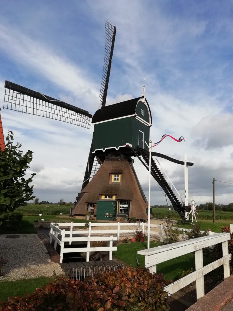 Activiteiten dav