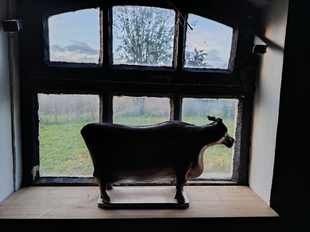 Dîner en chambre uitzichtraam